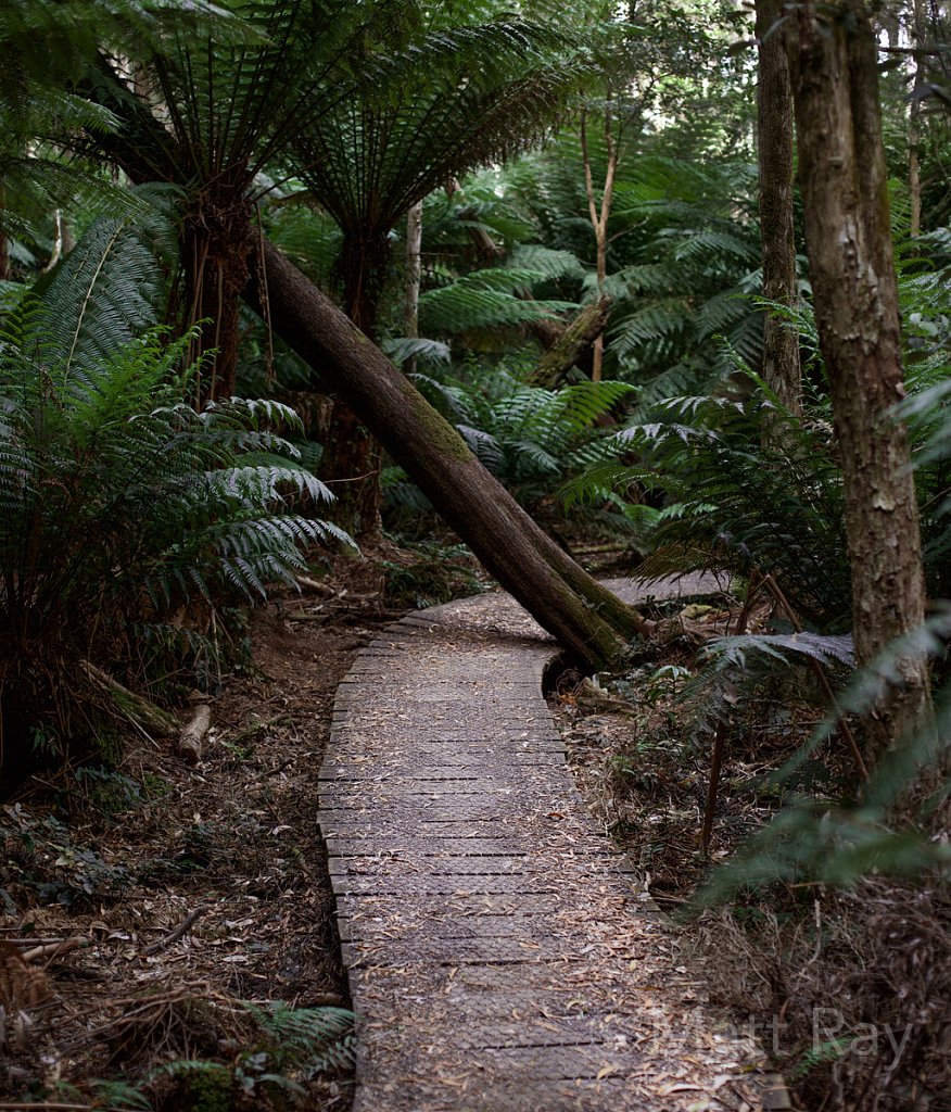 Bridge 