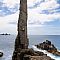 The Moai